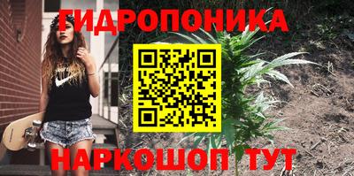 хмурый Обь