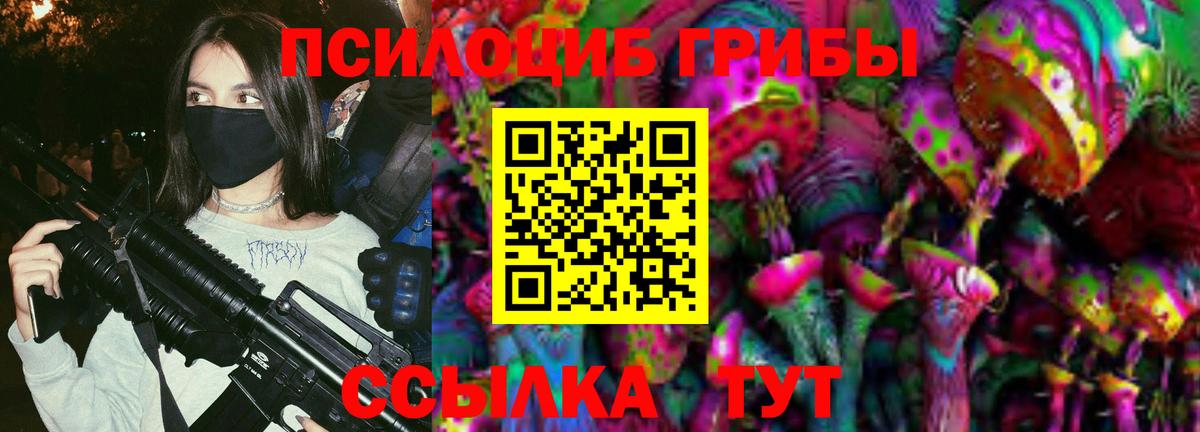 Псилоцибиновые грибы Psilocybe Спасск-Дальний