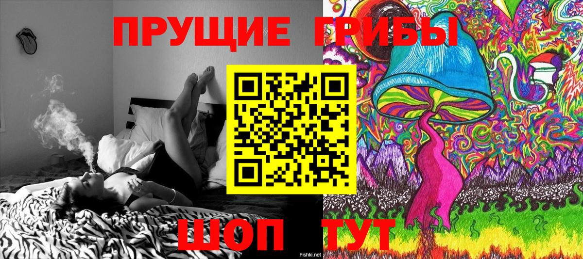 Спасск-Дальний  Галлюциногенные грибы Psilocybe  Галлюциногенные грибы ЛСД  Вход с VPN 